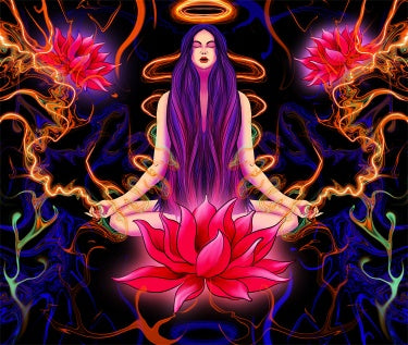 TAP185 - 𝓢𝓱𝓸𝓹𝓵𝓮𝓬𝔂