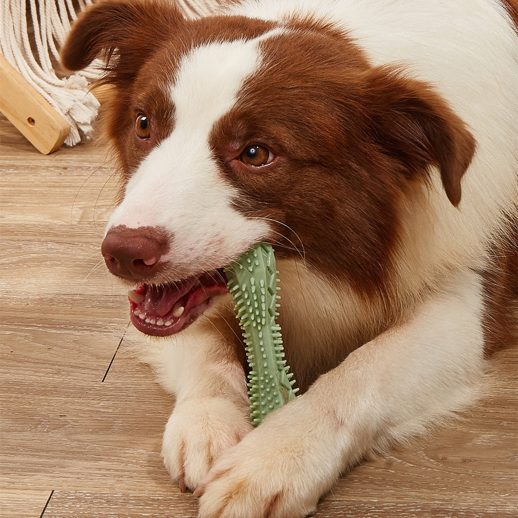 Chew Toys For Dog Teeth Cleaning - 𝓢𝓱𝓸𝓹𝓵𝓮𝓬𝔂