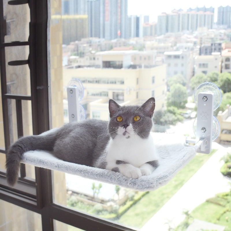 Cat Suction Cup Window Glass Hammock Pet Cat Pets Products - 𝓢𝓱𝓸𝓹𝓵𝓮𝓬𝔂