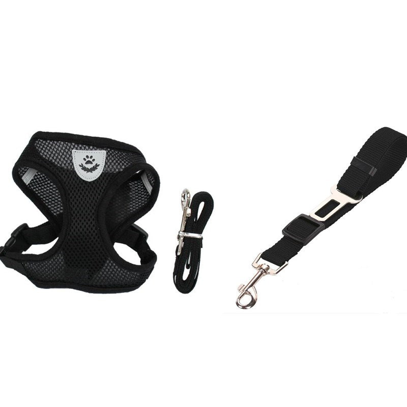 Pet Car Seat Belt Pet Leash - 𝓢𝓱𝓸𝓹𝓵𝓮𝓬𝔂