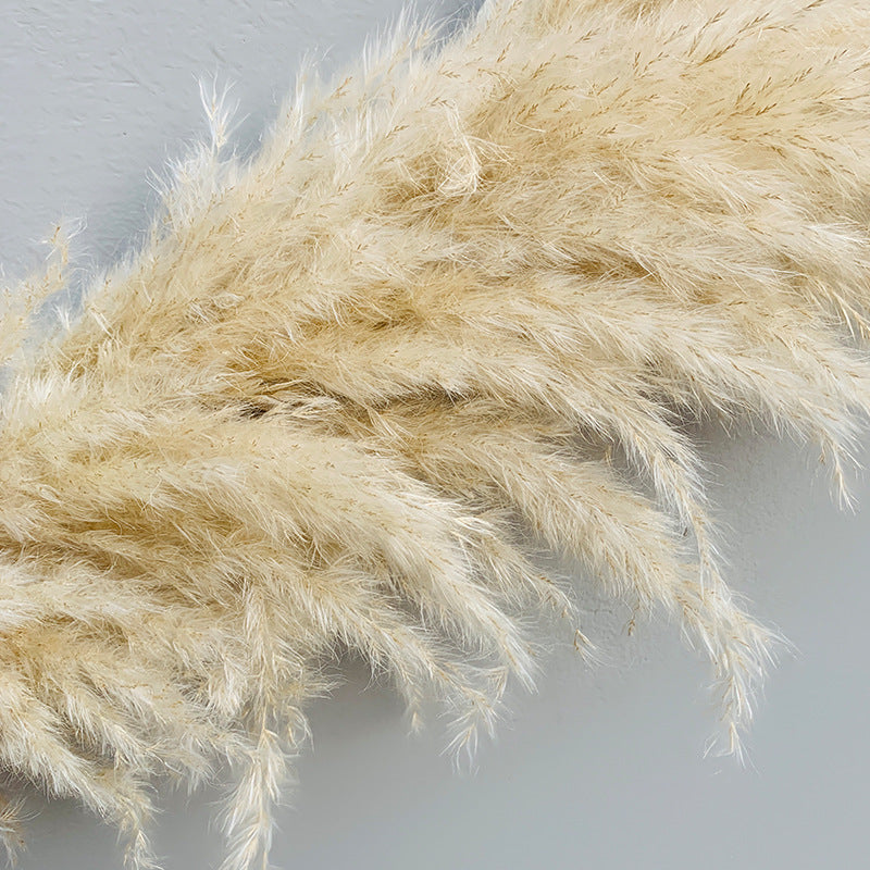 Reed dried flower bouquet - 𝓢𝓱𝓸𝓹𝓵𝓮𝓬𝔂