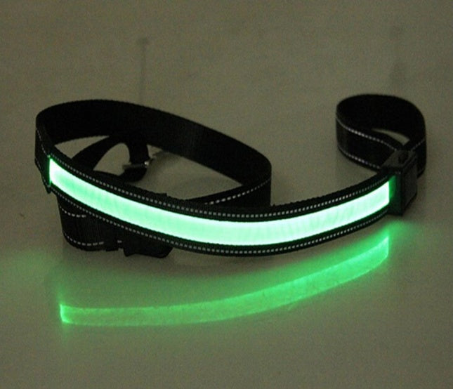Fluorescent dog collar - 𝓢𝓱𝓸𝓹𝓵𝓮𝓬𝔂