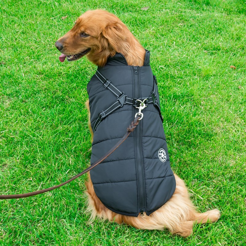 Dog Clothes Chest Back Integrated Cotton Vest Pet Cotton Clothes Winter Clothes - 𝓢𝓱𝓸𝓹𝓵𝓮𝓬𝔂