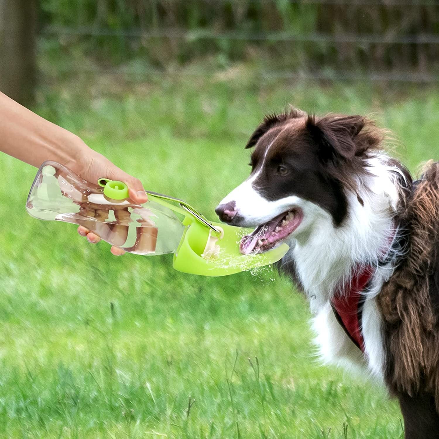 Portable Pet Water Dispenser Feeder Leak Proof With Drinking Cup Dish Bowl Dog Water Bottle - 𝓢𝓱𝓸𝓹𝓵𝓮𝓬𝔂