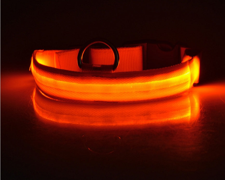 Nylon LED Pet Dog Luminous Collar Night Safety Flashing Glow in Dark Dog Cat Leash Adjustable Pet Supplies - 𝓢𝓱𝓸𝓹𝓵𝓮𝓬𝔂