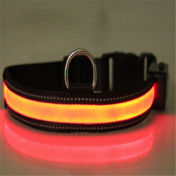 Fluorescent dog collar - 𝓢𝓱𝓸𝓹𝓵𝓮𝓬𝔂