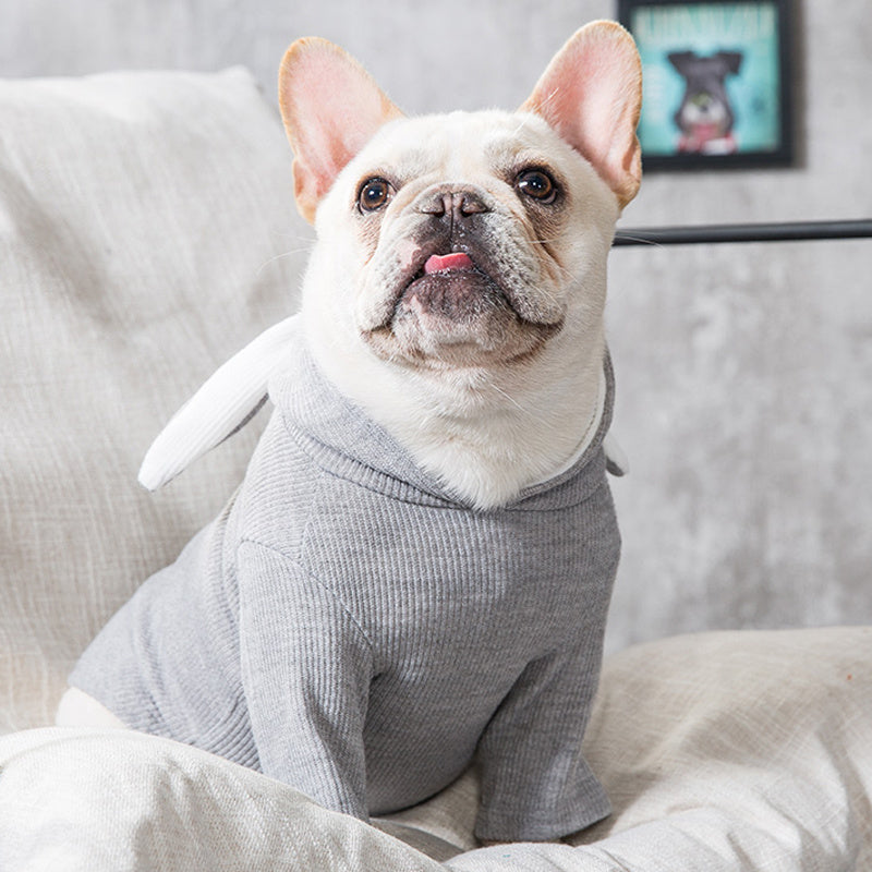 Dog Pet Clothes Spring And Autumn Clothing - 𝓢𝓱𝓸𝓹𝓵𝓮𝓬𝔂