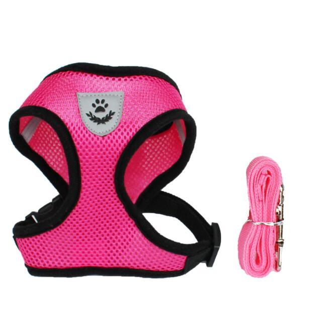 Pet Car Seat Belt Pet Leash - 𝓢𝓱𝓸𝓹𝓵𝓮𝓬𝔂