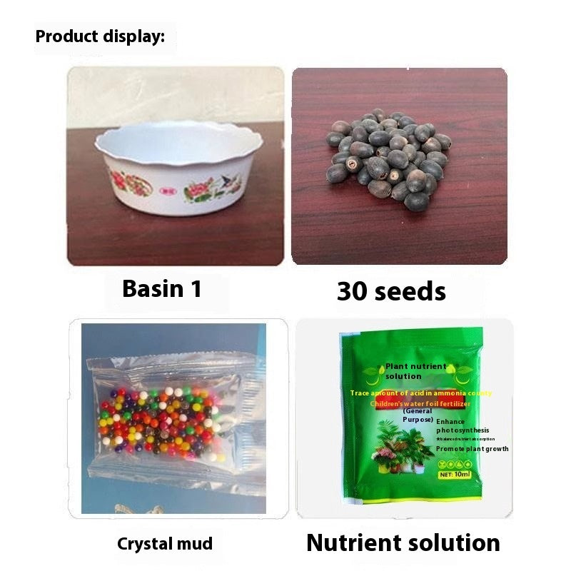Bowl Lotus Lotus Seed Fish Tank Hydroponic Plant Indoor Hydroponic - 𝓢𝓱𝓸𝓹𝓵𝓮𝓬𝔂