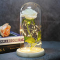 Enchanted Forever Rose Flower in Glass LED Light Christmas Decoration - 𝓢𝓱𝓸𝓹𝓵𝓮𝓬𝔂