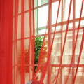 Curtains Solid Tulle Modern Curtains For Living Room Transparent Tulle Curtains Window Sheer For The Bedroom - 𝓢𝓱𝓸𝓹𝓵𝓮𝓬𝔂