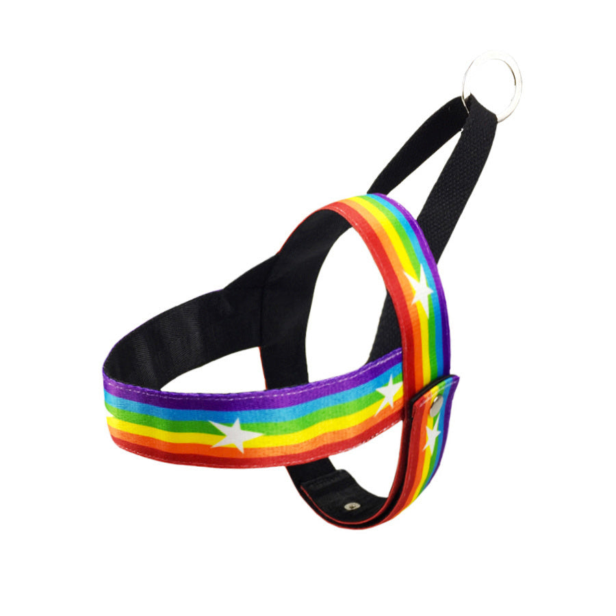 Rainbow cool dog chain dog leash - 𝓢𝓱𝓸𝓹𝓵𝓮𝓬𝔂