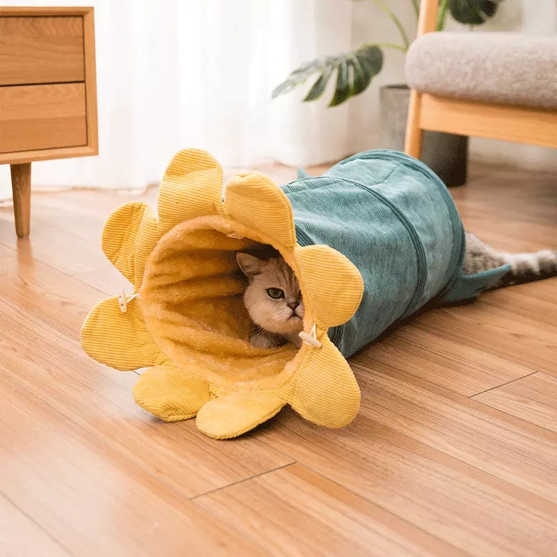 Creative Fruit Funny Pet Cat Tunnel Toys Puppy Ferrets Rabbit Play Dog Tunnel Tubes Toy Tube - 𝓢𝓱𝓸𝓹𝓵𝓮𝓬𝔂