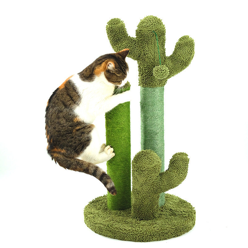 Cats Scratching Kitten Climbing Cactus Tree - 𝓢𝓱𝓸𝓹𝓵𝓮𝓬𝔂