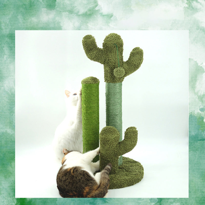 Cats Scratching Kitten Climbing Cactus Tree - 𝓢𝓱𝓸𝓹𝓵𝓮𝓬𝔂