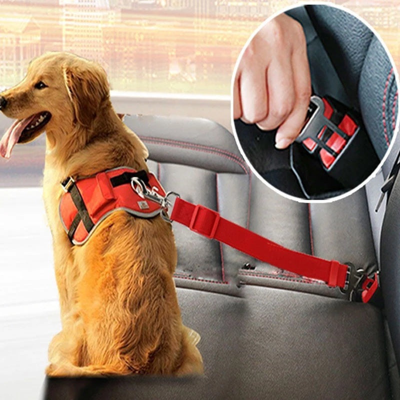 Adjustable Pet Cat Dog Car Seat Belt Pet Seat Vehicle Dog Harness Lead Clip Safety Lever Traction Dog Collars Dogs Accessoires Pets Products - 𝓢𝓱𝓸𝓹𝓵𝓮𝓬𝔂