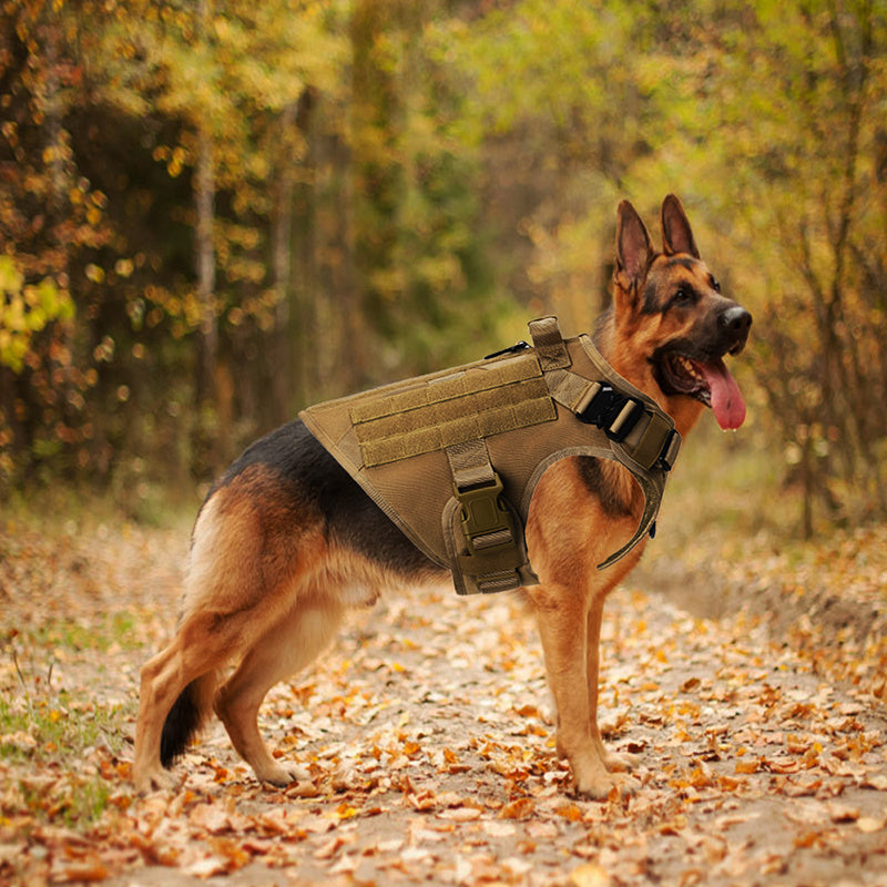 Outdoor Tactical Dog Vest For Large Dogs - 𝓢𝓱𝓸𝓹𝓵𝓮𝓬𝔂