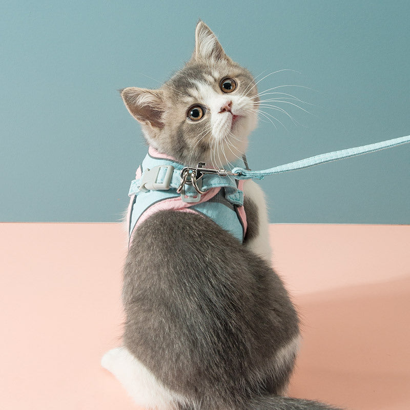 Cat Traction Rope Chest Strap To Prevent Breaking Free Pets Cat Strap - 𝓢𝓱𝓸𝓹𝓵𝓮𝓬𝔂