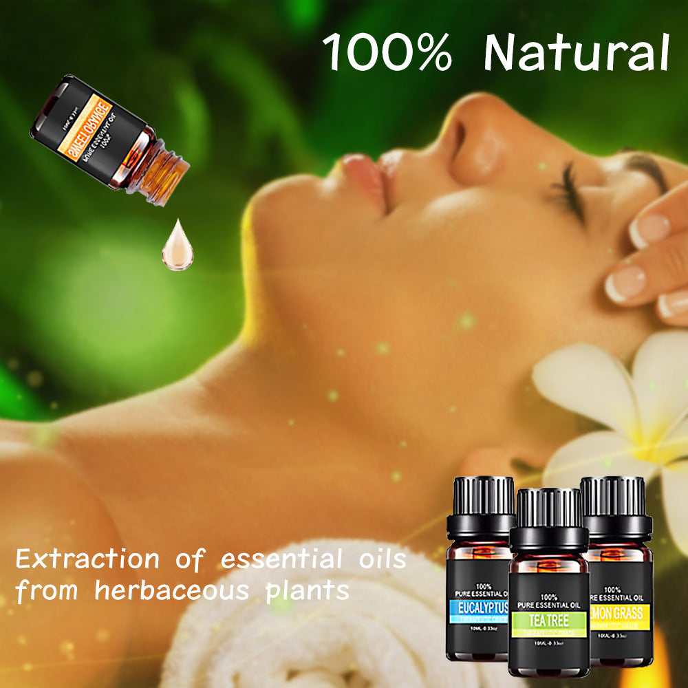 Organic Essential Oils Set Top Sale  Natural Therapeutic Grade Aromatherapy Oil Gift Kit For Diffuser - 𝓢𝓱𝓸𝓹𝓵𝓮𝓬𝔂