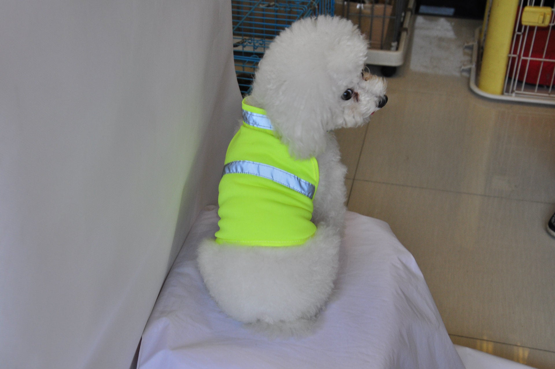 Summer Pet Clothing Dog Reflective Clothing Work Dog Safety Clothing - 𝓢𝓱𝓸𝓹𝓵𝓮𝓬𝔂