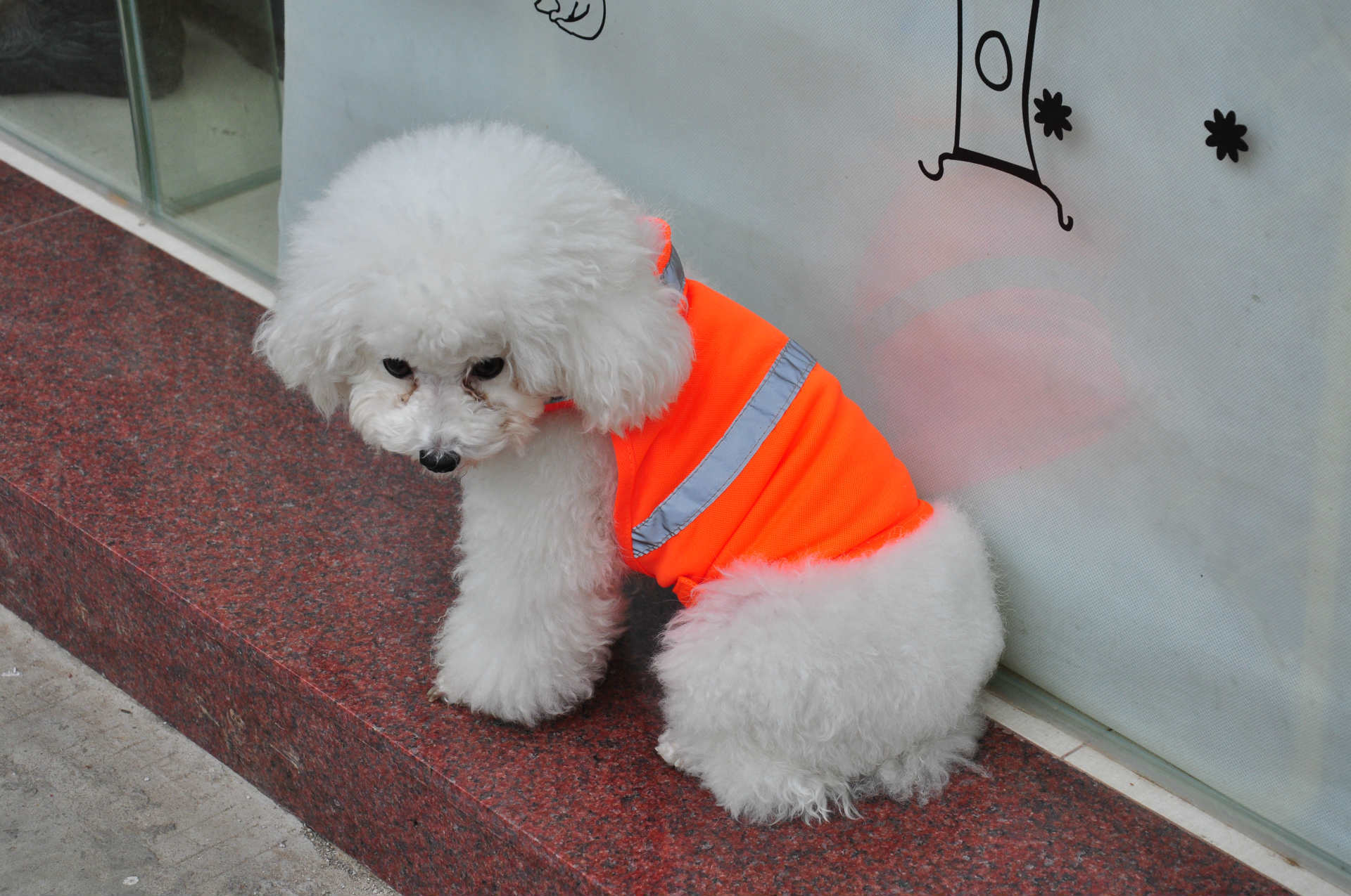 Summer Pet Clothing Dog Reflective Clothing Work Dog Safety Clothing - 𝓢𝓱𝓸𝓹𝓵𝓮𝓬𝔂