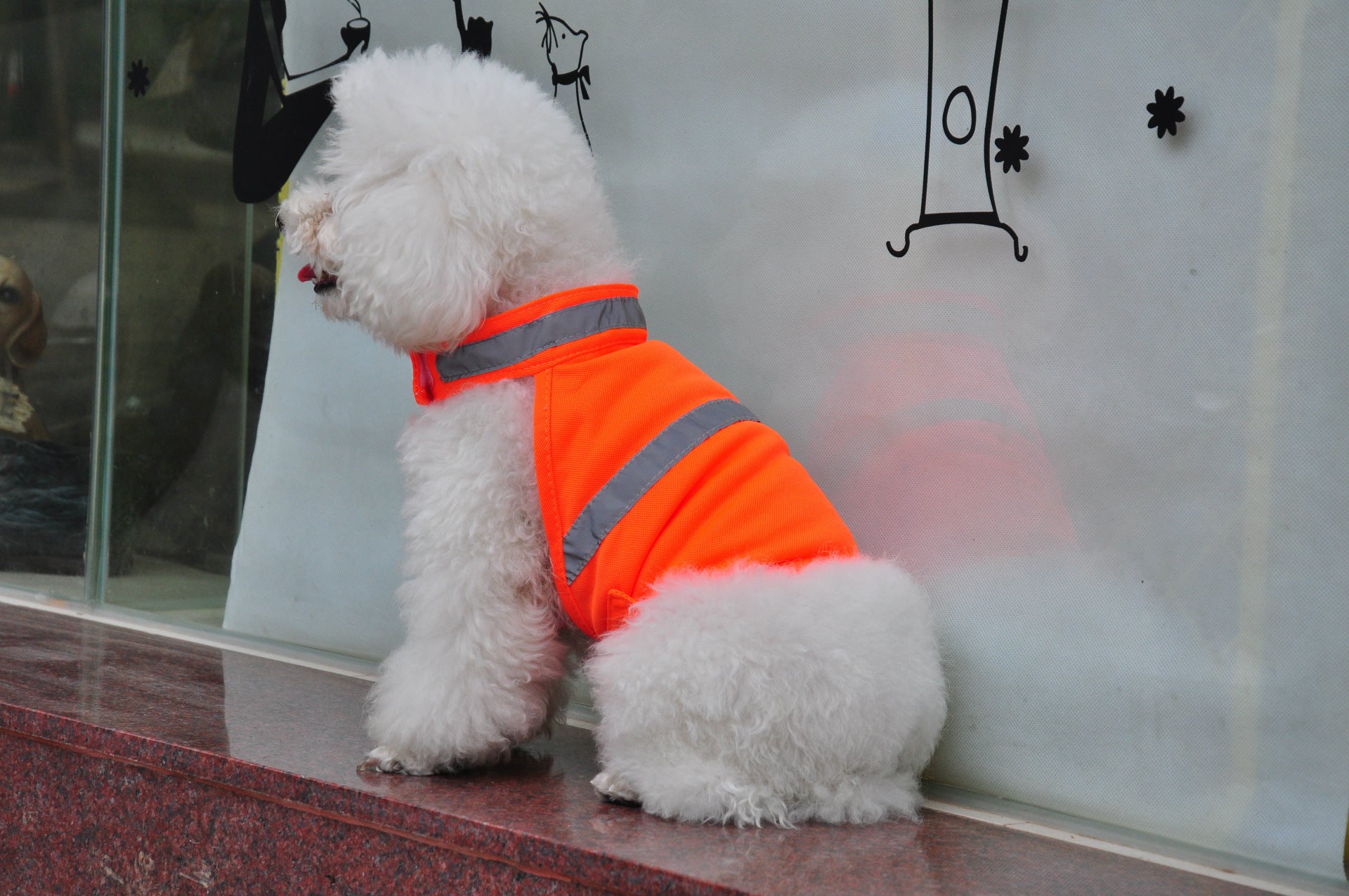 Summer Pet Clothing Dog Reflective Clothing Work Dog Safety Clothing - 𝓢𝓱𝓸𝓹𝓵𝓮𝓬𝔂