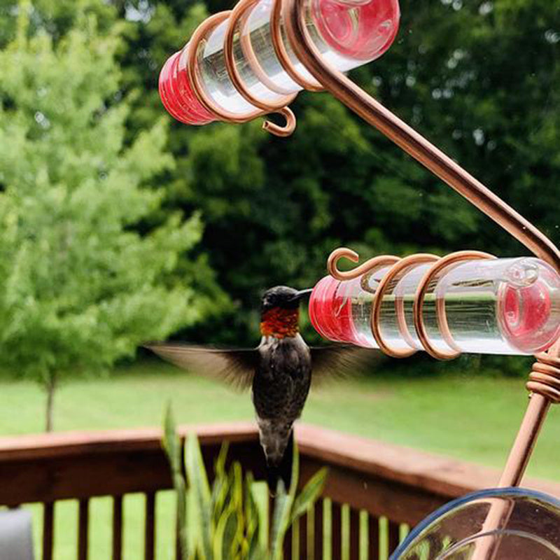 Garden Bird Feeder Supplies Hummingbird Feeder Drinker Suction Cup Easy To Clean Deck Garden Decor Bird Feeders for Wild Birds - 𝓢𝓱𝓸𝓹𝓵𝓮𝓬𝔂