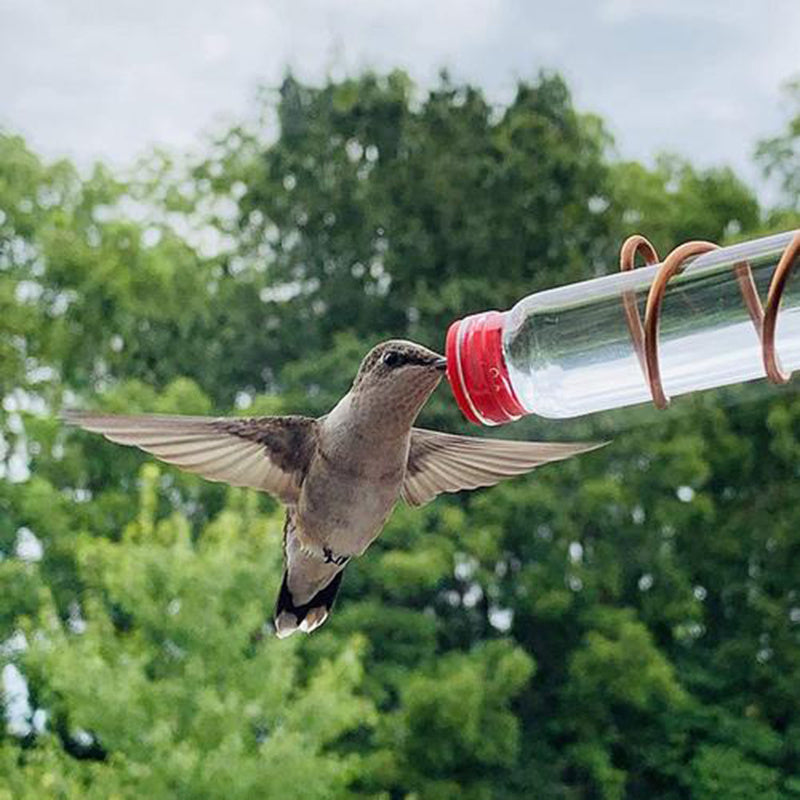 Garden Bird Feeder Supplies Hummingbird Feeder Drinker Suction Cup Easy To Clean Deck Garden Decor Bird Feeders for Wild Birds - 𝓢𝓱𝓸𝓹𝓵𝓮𝓬𝔂