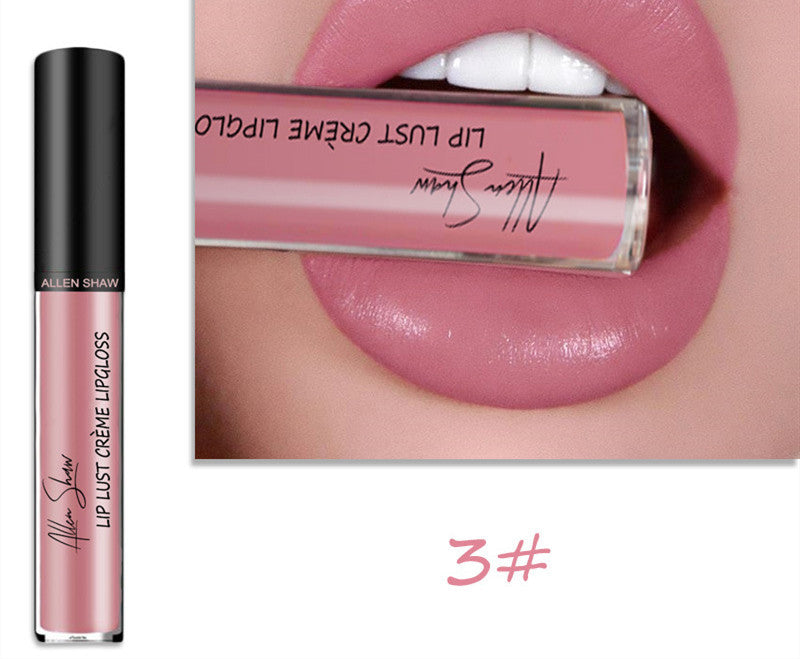 Silky Cream Texture Lip Gloss Aliexpress Shopee Cross-Border Exclusive Lip Glaze Lip Gloss Lipstick - 𝓢𝓱𝓸𝓹𝓵𝓮𝓬𝔂