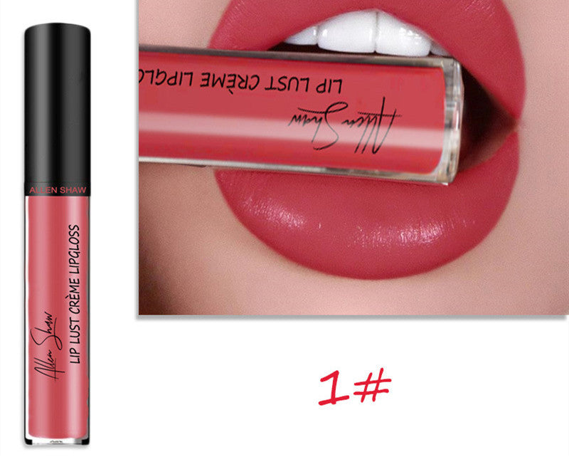 Silky Cream Texture Lip Gloss Aliexpress Shopee Cross-Border Exclusive Lip Glaze Lip Gloss Lipstick - 𝓢𝓱𝓸𝓹𝓵𝓮𝓬𝔂