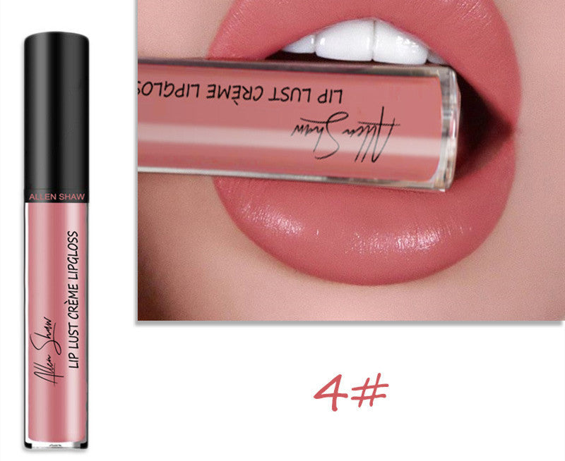 Silky Cream Texture Lip Gloss Aliexpress Shopee Cross-Border Exclusive Lip Glaze Lip Gloss Lipstick - 𝓢𝓱𝓸𝓹𝓵𝓮𝓬𝔂