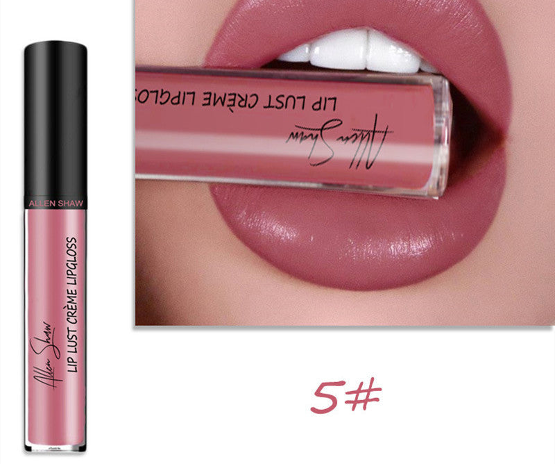 Silky Cream Texture Lip Gloss Aliexpress Shopee Cross-Border Exclusive Lip Glaze Lip Gloss Lipstick - 𝓢𝓱𝓸𝓹𝓵𝓮𝓬𝔂