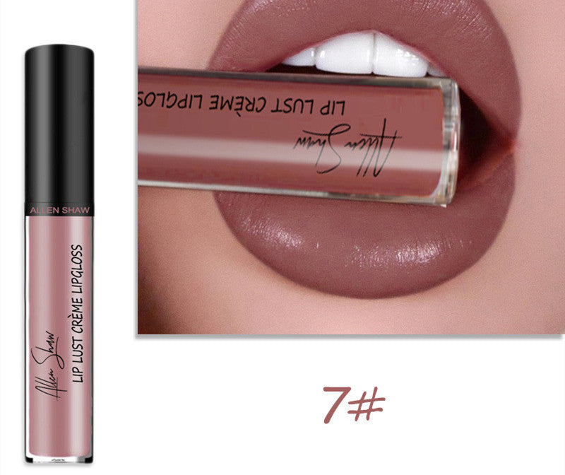 Silky Cream Texture Lip Gloss Aliexpress Shopee Cross-Border Exclusive Lip Glaze Lip Gloss Lipstick - 𝓢𝓱𝓸𝓹𝓵𝓮𝓬𝔂