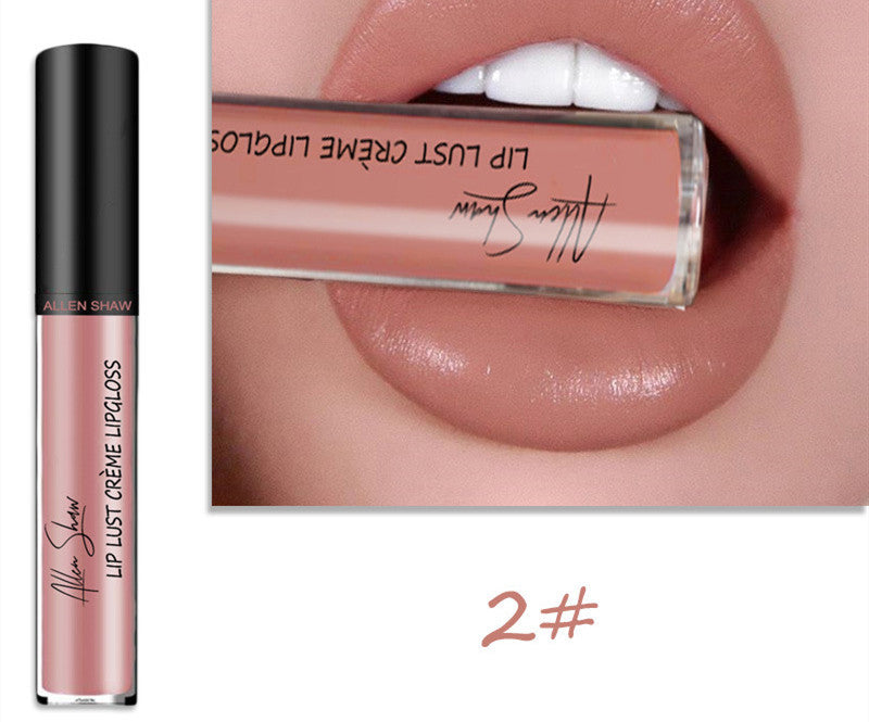 Silky Cream Texture Lip Gloss Aliexpress Shopee Cross-Border Exclusive Lip Glaze Lip Gloss Lipstick - 𝓢𝓱𝓸𝓹𝓵𝓮𝓬𝔂