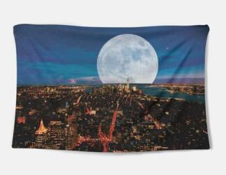 Tapesty - 𝓢𝓱𝓸𝓹𝓵𝓮𝓬𝔂