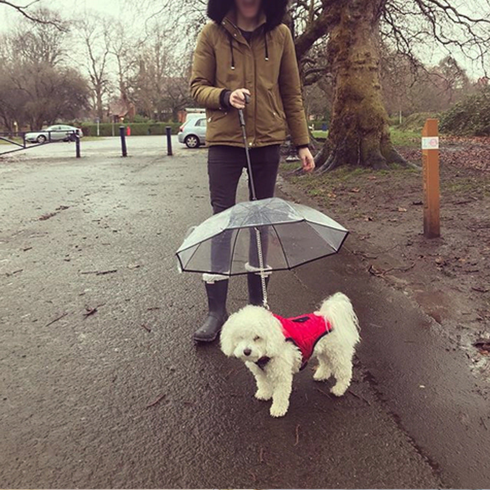 Dog's Transparent Umbrella With Traction Chain Removable Umbrella Pet Products - 𝓢𝓱𝓸𝓹𝓵𝓮𝓬𝔂