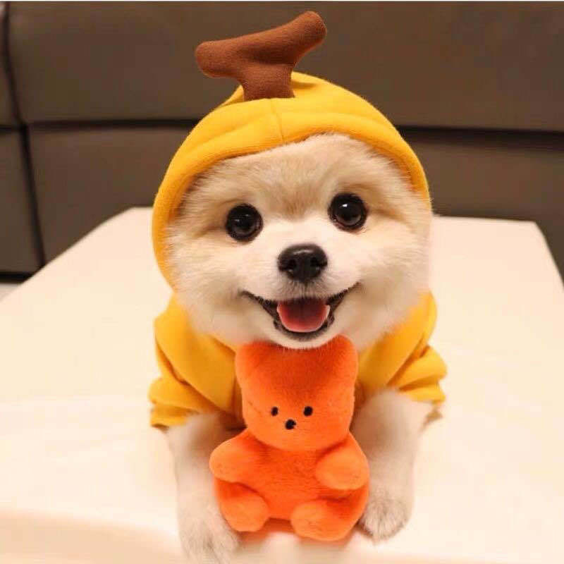 Cute Fruit Dog Clothes For Small Dogs Hoodies Winter Warm Fleece Pet Clothing Puppy Cat Costume Coat For French Chihuahua Outfit - 𝓢𝓱𝓸𝓹𝓵𝓮𝓬𝔂