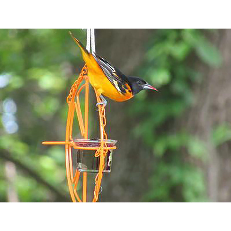 Oriole Bird Feeder Orange Fruit Outdoor Garden Metal Hanging Drinking Grape Jelly Container Farm Hummingbird Automatic Portable - 𝓢𝓱𝓸𝓹𝓵𝓮𝓬𝔂