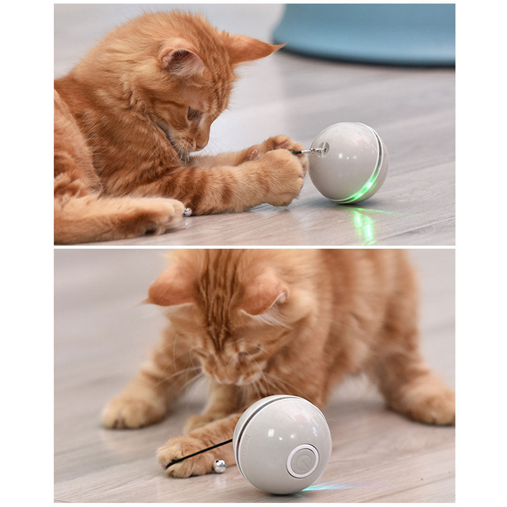 Colorful LED Laser Funny Cat Ball - 𝓢𝓱𝓸𝓹𝓵𝓮𝓬𝔂