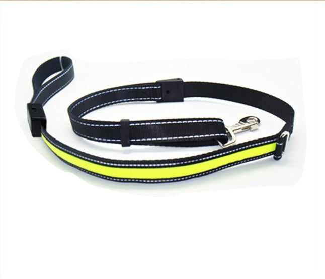 Fluorescent dog collar - 𝓢𝓱𝓸𝓹𝓵𝓮𝓬𝔂