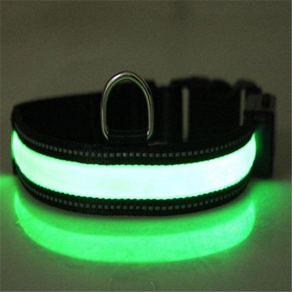 Fluorescent dog collar - 𝓢𝓱𝓸𝓹𝓵𝓮𝓬𝔂