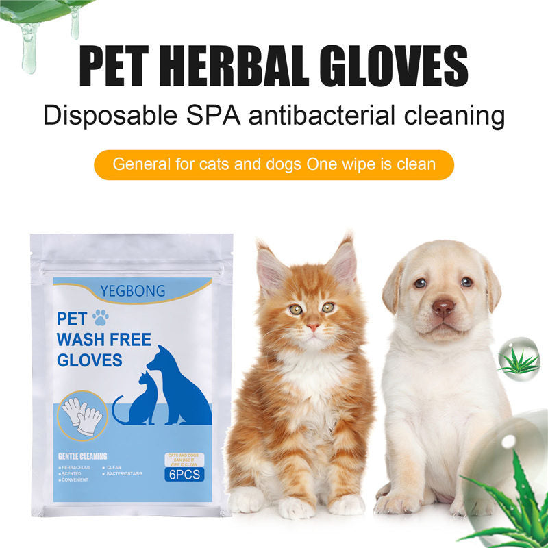 No-bath And Cat-free Non-woven Gloves - 𝓢𝓱𝓸𝓹𝓵𝓮𝓬𝔂