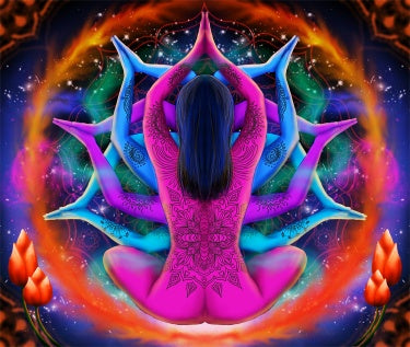 TAP185 - 𝓢𝓱𝓸𝓹𝓵𝓮𝓬𝔂