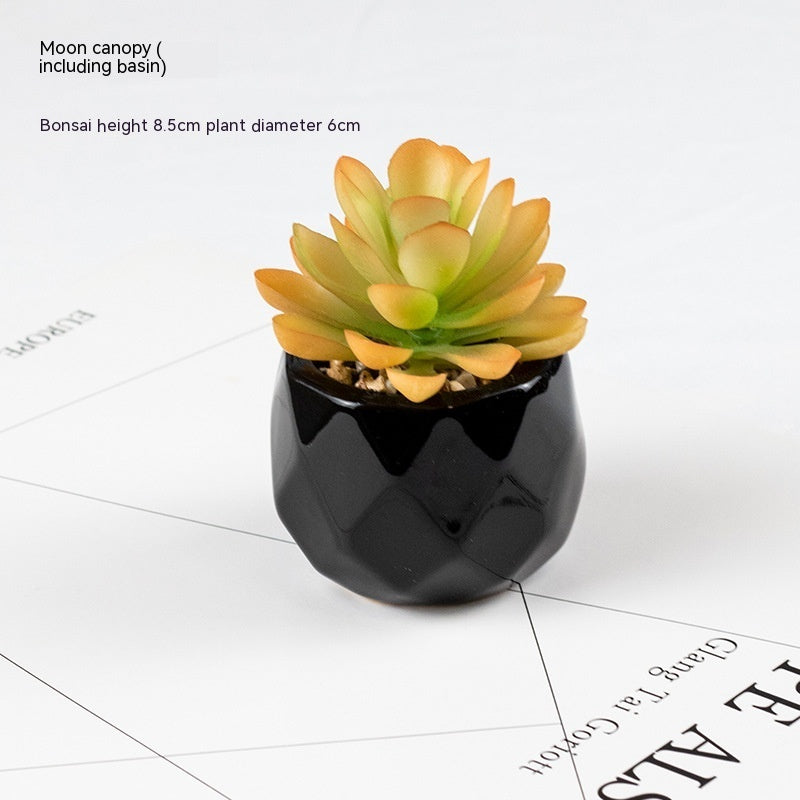Artificial Green Plant Succulent Artificial Plant Home Furnishings - 𝓢𝓱𝓸𝓹𝓵𝓮𝓬𝔂