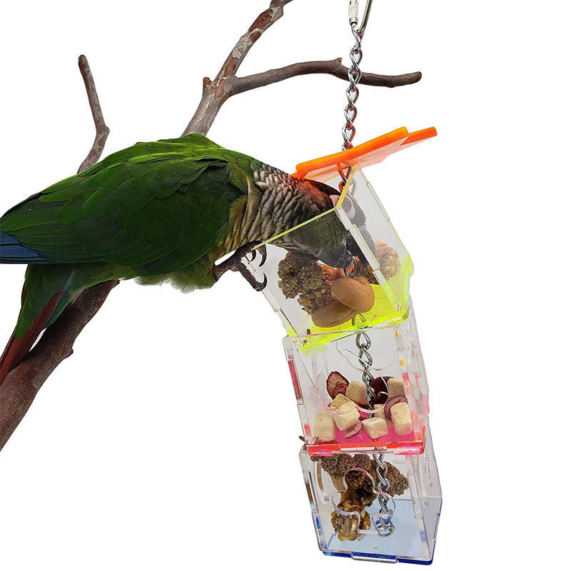 Bird Foraging Device Acrylic Parrot Educational Toy Food Container Fruit Nuts Bite Parrot Toys