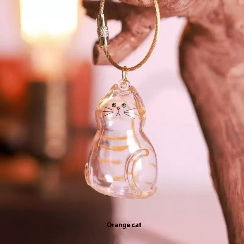 Transparent Cat Hair Storage Box Pendant Keychain Ornaments