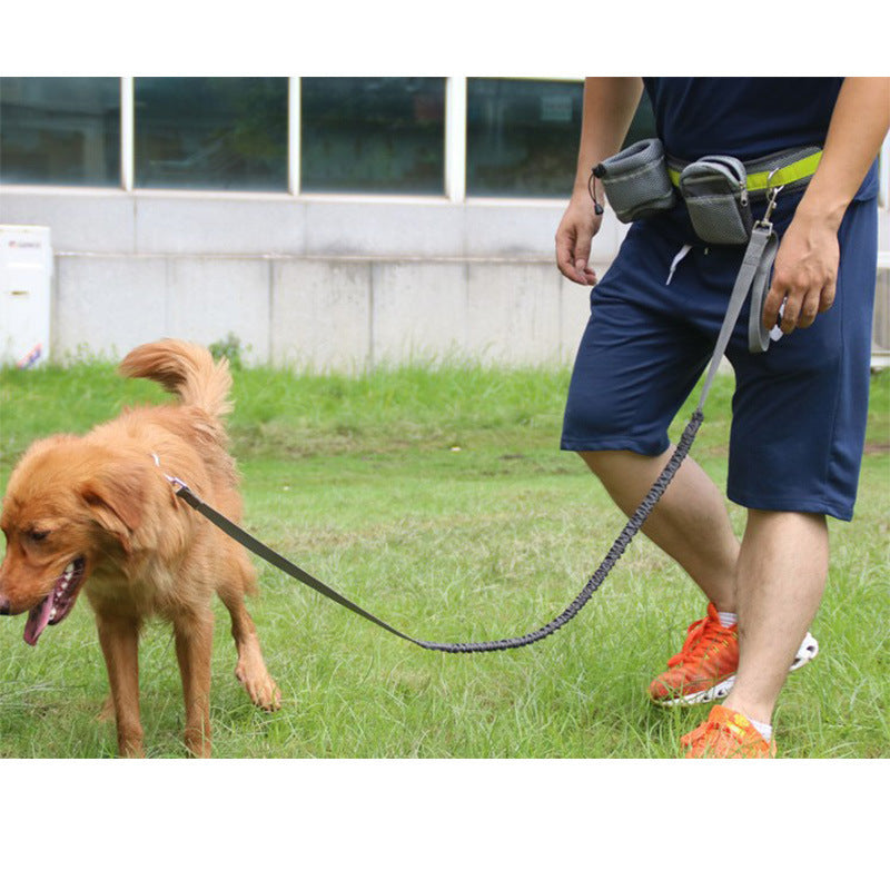 Adjustable Hands Free Dog Leash - 𝓢𝓱𝓸𝓹𝓵𝓮𝓬𝔂