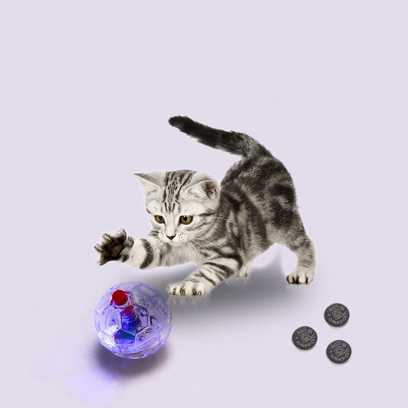 Cat Dog Toy Ball New Fashion Glowing Transparent Plastic Ball Pet Interactive Toy Funny Training Cat GlowBalls Toys Pet Products - 𝓢𝓱𝓸𝓹𝓵𝓮𝓬𝔂