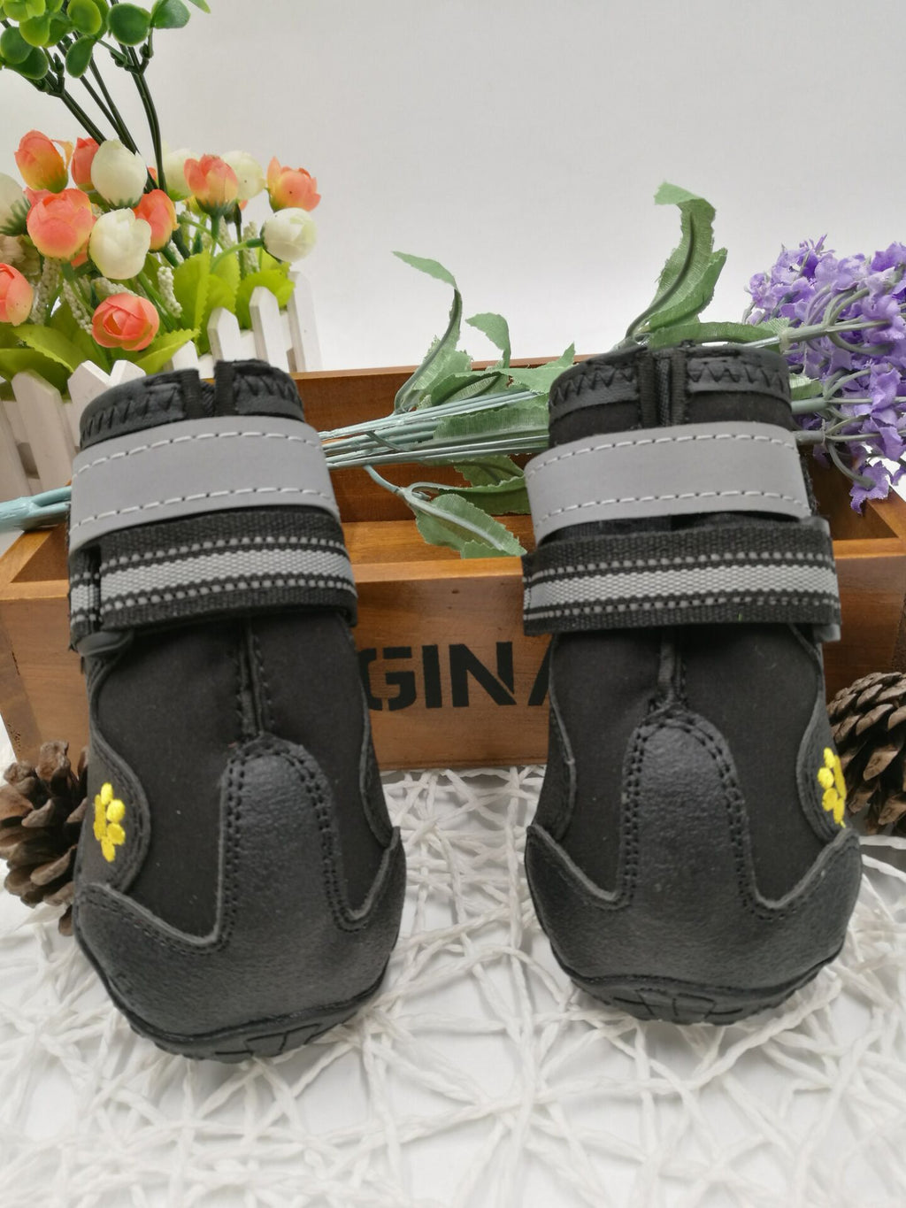 Pet shoes wear dog shoes - 𝓢𝓱𝓸𝓹𝓵𝓮𝓬𝔂