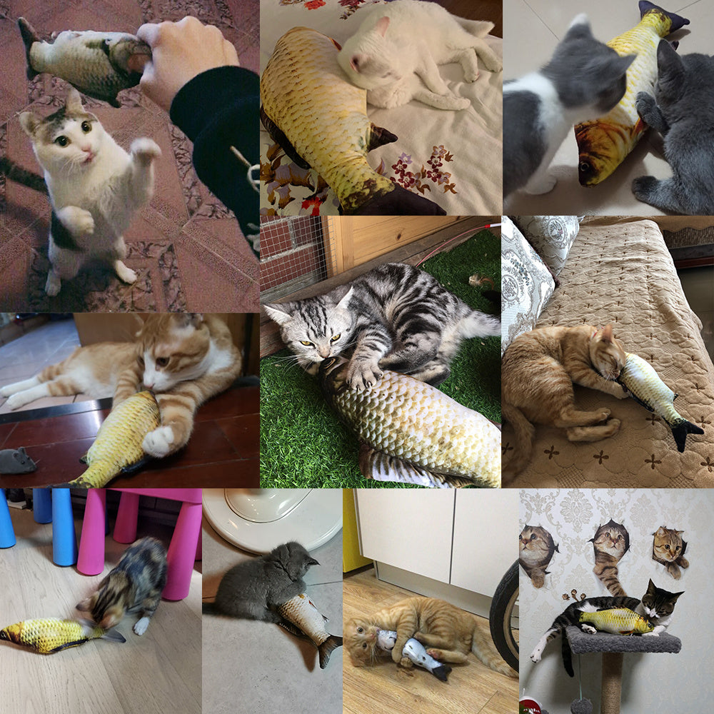 Without Cat Nip Version - Electric Jumping Fish Simulation Electric Fish Toy - 𝓢𝓱𝓸𝓹𝓵𝓮𝓬𝔂